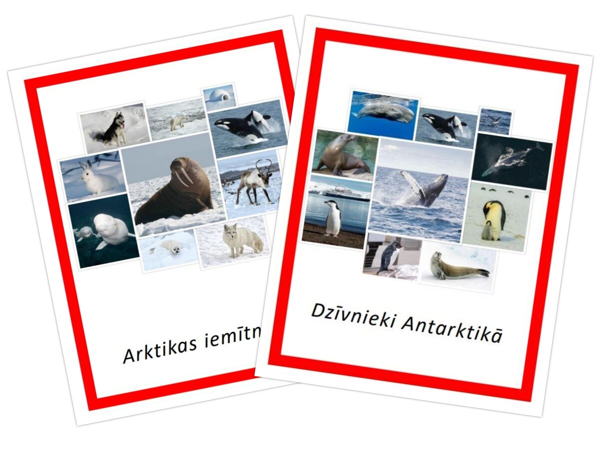 Komplekts - Arktikas iemītnieki + Dzīvnieki Antarktikā