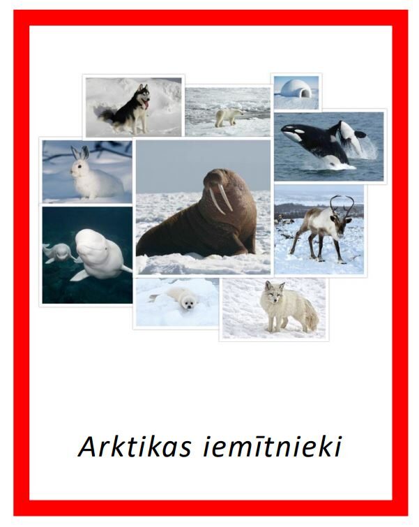 Komplekts - Arktikas iemītnieki + Dzīvnieki Antarktikā + Pingvīni