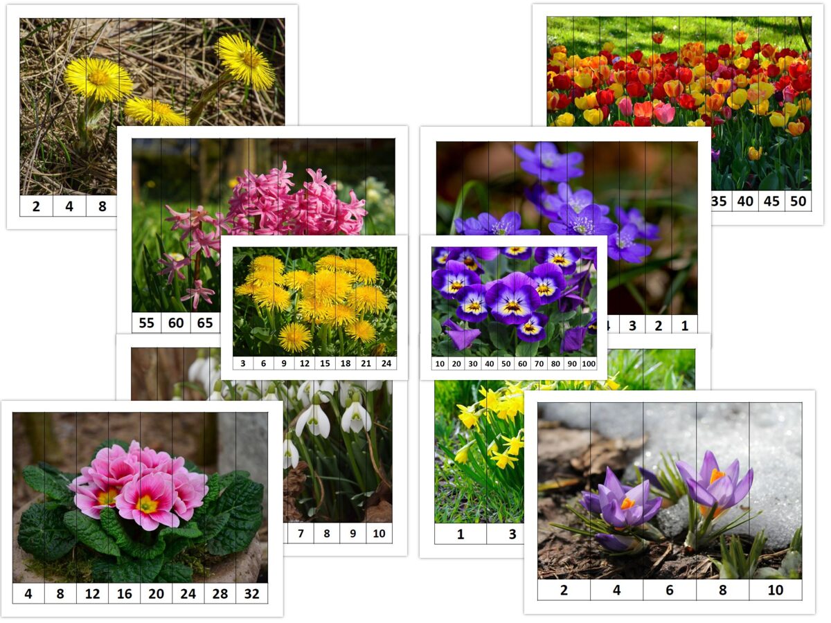 Puzle - Pavasara ziedi - skaitļu kombinācijas