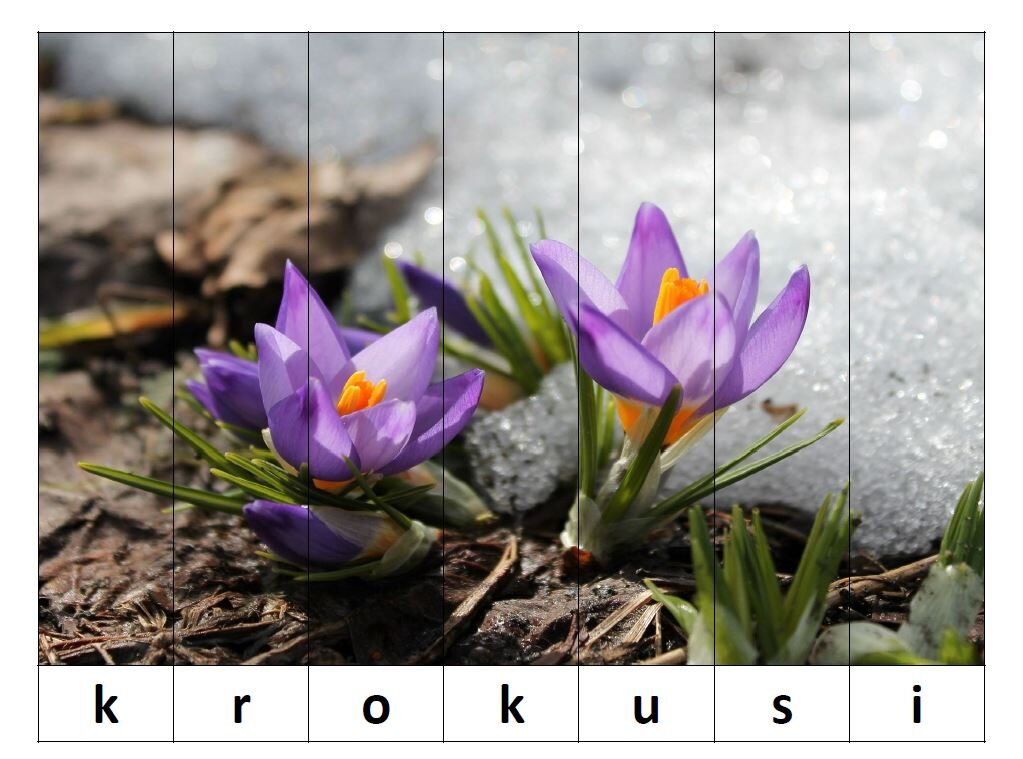 Puzle - Pavasara ziedi - saliec vārdu