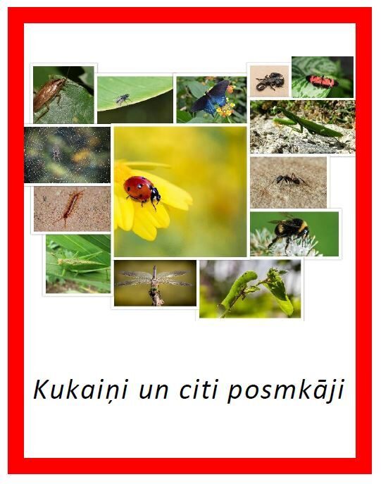 Kukaiņi un citi posmkāji