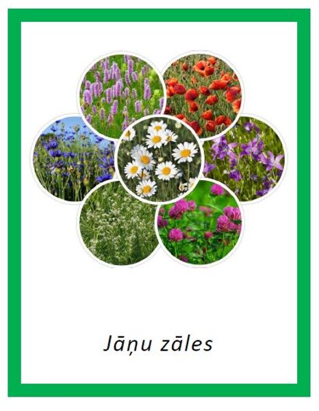 Jāņu zāles