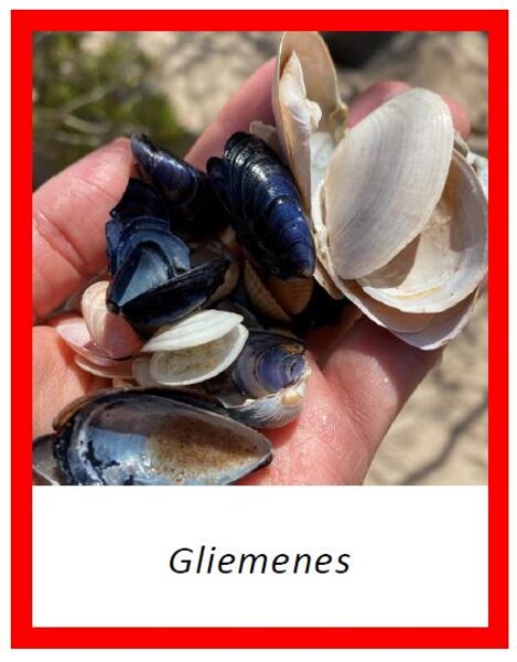 Gliemenes