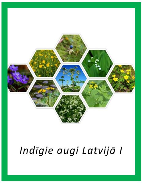 Indīgie augi Latvijā I