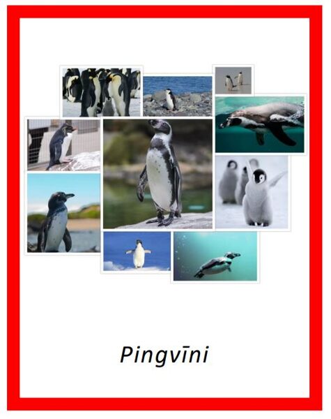 Pingvīni