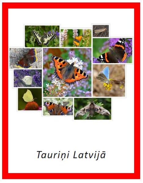 Tauriņi Latvijā