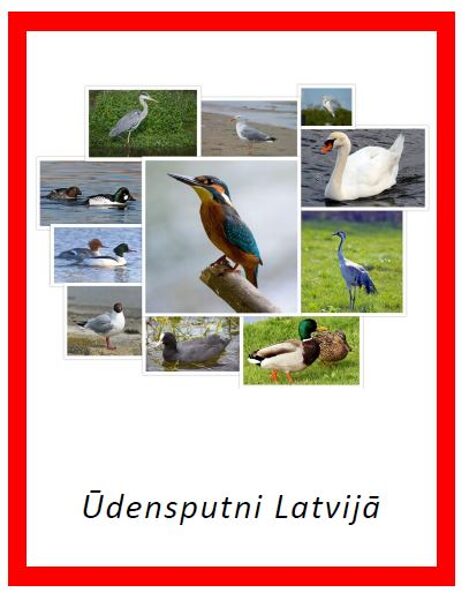 Ūdensputni Latvijā - kartītes ar QR kodiem